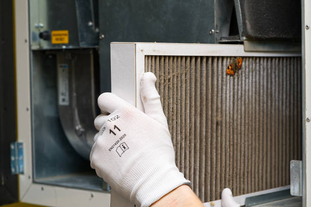 Best Affordable Air Duct Cleaning  in Gardena, CA
